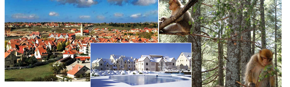 About Monarch Travel Agency Morocco DMC ifrane