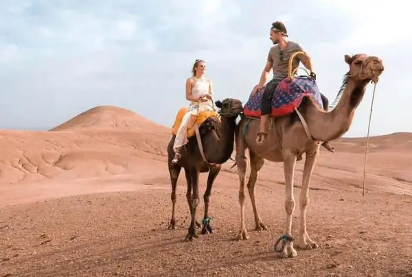 Camel ride in the Sahara