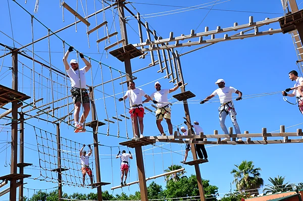 Groupe en baudrier sur un parcours acrobatique dans les arbres