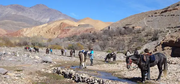 Activities in Ouarzazate, Ouarzazate