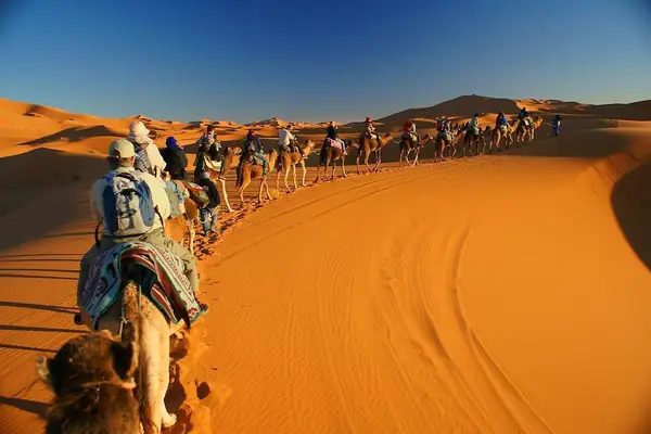 Camel caravan in the dunes of Erg Chebbi