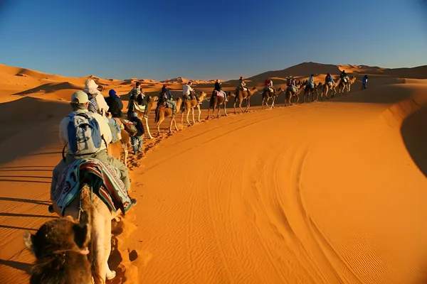 Camel caravan in the dunes of Erg Chebbi