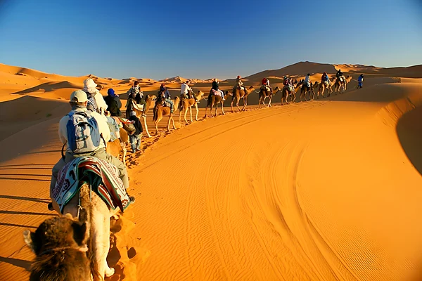 Camel caravan in the dunes of Erg Chebbi