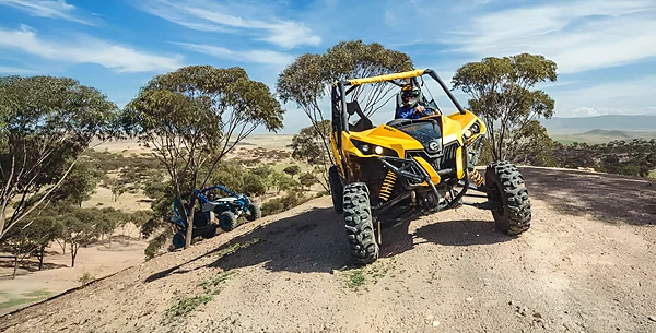 Buggy on a dirt track among the trees