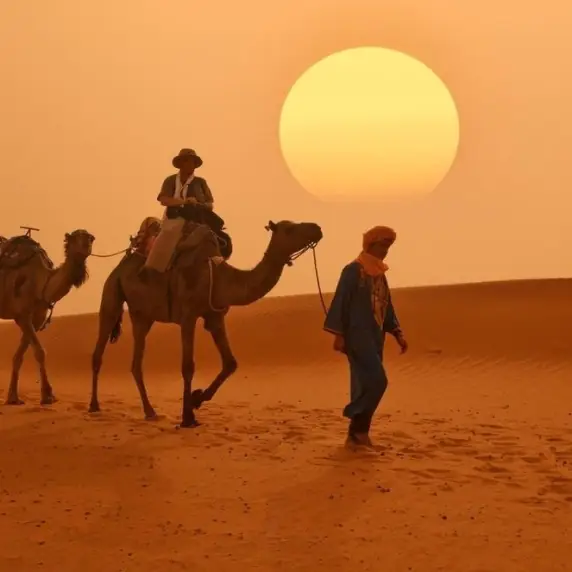 Camel caravan at sunset in the desert