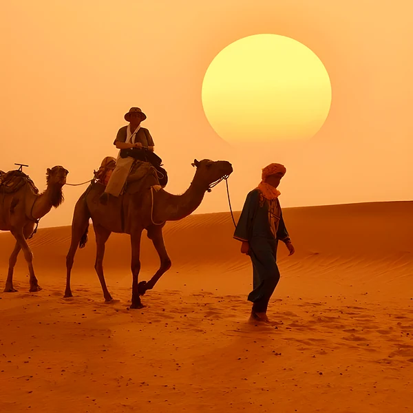 Camel caravan at sunset in the desert