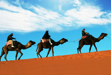 Circuits au Maroc par Agence de Voyages Monarch Travel Morocco
